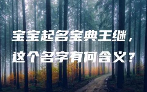 宝宝起名宝典王继，这个名字有何含义？