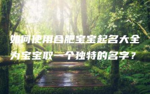 如何使用合肥宝宝起名大全为宝宝取一个独特的名字？