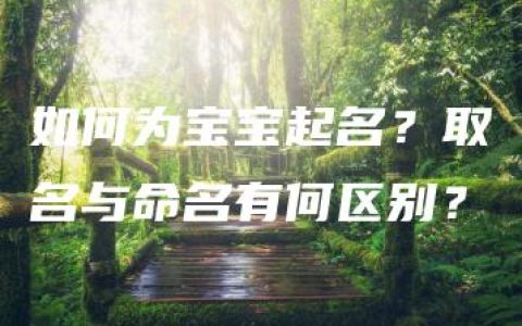 如何为宝宝起名？取名与命名有何区别？