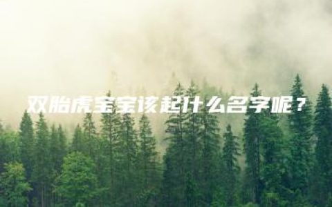 双胎虎宝宝该起什么名字呢？