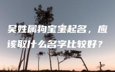 吴姓属狗宝宝起名，应该取什么名字比较好？