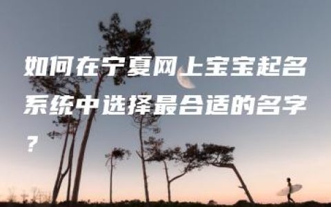 如何在宁夏网上宝宝起名系统中选择最合适的名字？