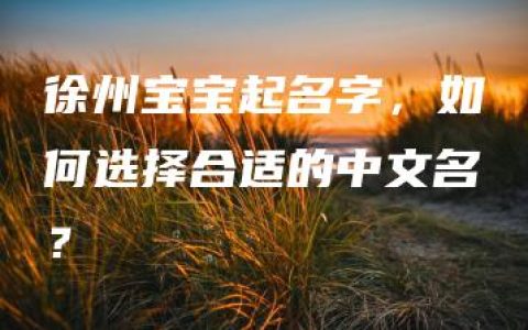 徐州宝宝起名字，如何选择合适的中文名？