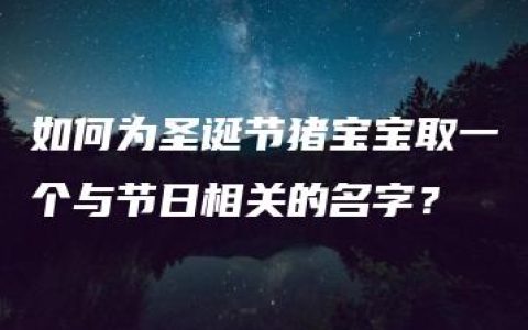 如何为圣诞节猪宝宝取一个与节日相关的名字？