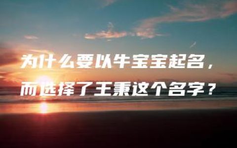 为什么要以牛宝宝起名，而选择了王秉这个名字？