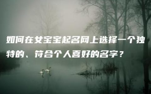 如何在女宝宝起名网上选择一个独特的、符合个人喜好的名字？