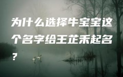 为什么选择牛宝宝这个名字给王芷禾起名？