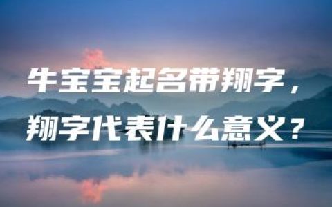 牛宝宝起名带翔字，翔字代表什么意义？