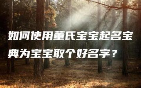 如何使用董氏宝宝起名宝典为宝宝取个好名字？