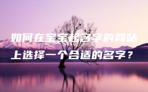 如何在宝宝起名字的网站上选择一个合适的名字？