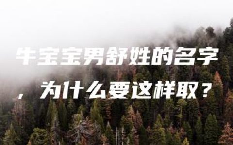 牛宝宝男舒姓的名字，为什么要这样取？