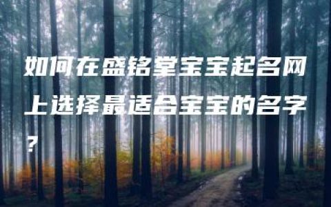 如何在盛铭堂宝宝起名网上选择最适合宝宝的名字？