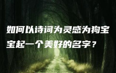 如何以诗词为灵感为狗宝宝起一个美好的名字？