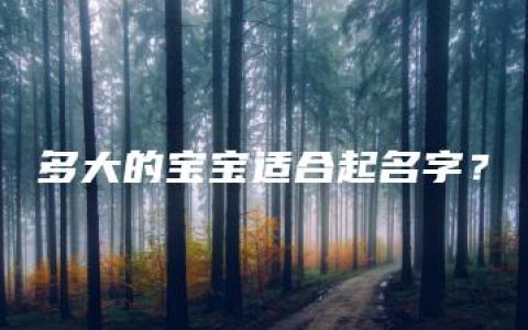 多大的宝宝适合起名字？