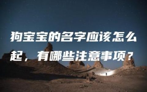 狗宝宝的名字应该怎么起，有哪些注意事项？