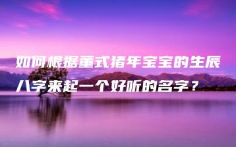 如何根据董式猪年宝宝的生辰八字来起一个好听的名字？