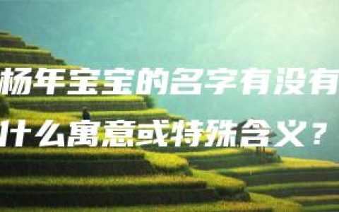 杨年宝宝的名字有没有什么寓意或特殊含义？