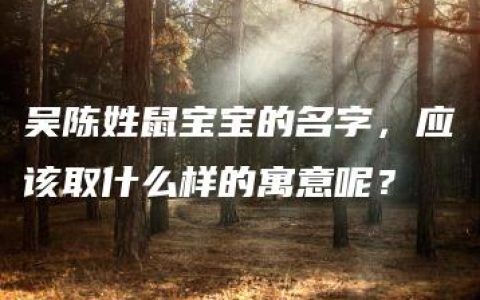 吴陈姓鼠宝宝的名字，应该取什么样的寓意呢？