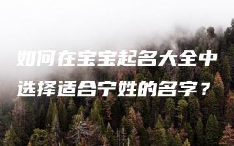 如何在宝宝起名大全中选择适合宁姓的名字？