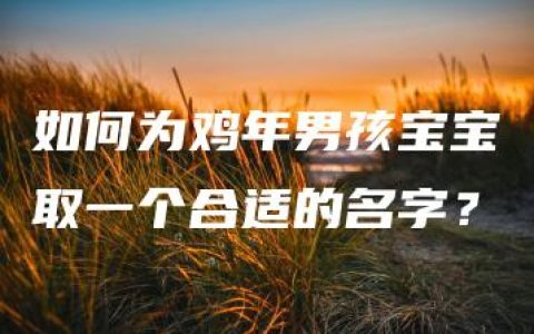 如何为鸡年男孩宝宝取一个合适的名字？