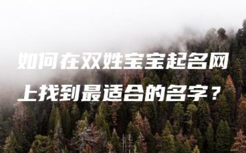 如何在双姓宝宝起名网上找到最适合的名字？