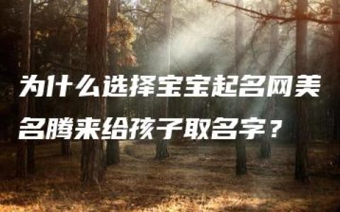 为什么选择宝宝起名网美名腾来给孩子取名字？