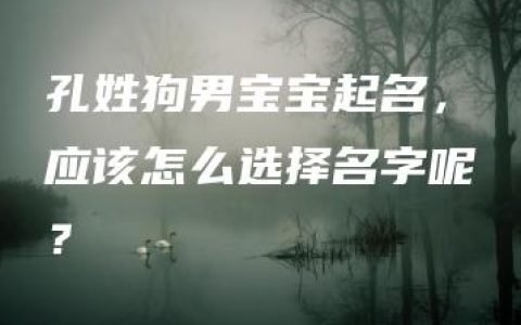 孔姓狗男宝宝起名，应该怎么选择名字呢？