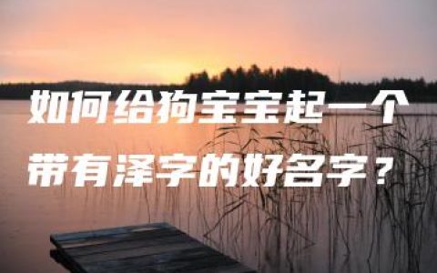 如何给狗宝宝起一个带有泽字的好名字？