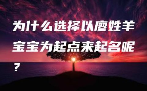 为什么选择以廖姓羊宝宝为起点来起名呢？