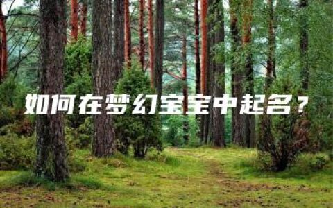 如何在梦幻宝宝中起名？