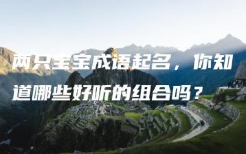 两只宝宝成语起名，你知道哪些好听的组合吗？