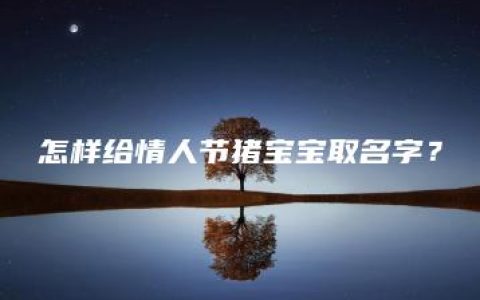 怎样给情人节猪宝宝取名字？