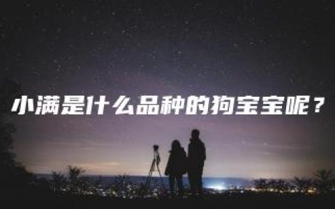 小满是什么品种的狗宝宝呢？