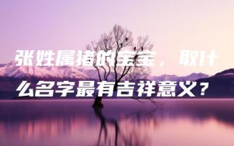 张姓属猪的宝宝，取什么名字最有吉祥意义？