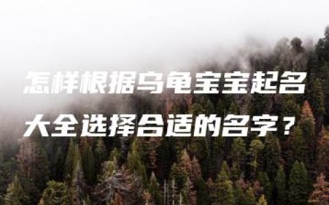 怎样根据乌龟宝宝起名大全选择合适的名字？