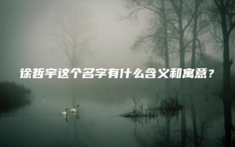 徐哲宇这个名字有什么含义和寓意？