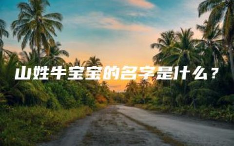 山姓牛宝宝的名字是什么？