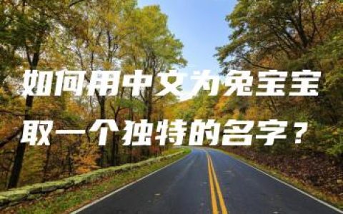 如何用中文为兔宝宝取一个独特的名字？