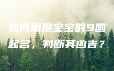 如何根据宝宝的9画起名，判断其凶吉？