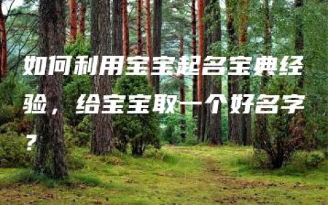 如何利用宝宝起名宝典经验，给宝宝取一个好名字？