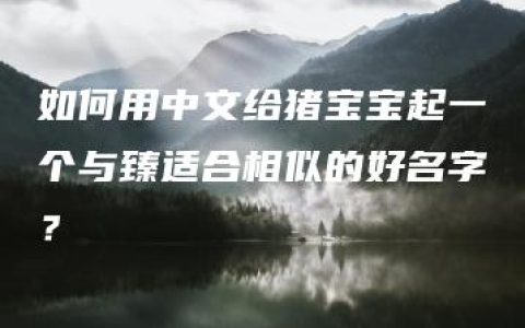 如何用中文给猪宝宝起一个与臻适合相似的好名字？