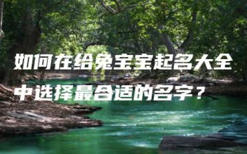 如何在给兔宝宝起名大全中选择最合适的名字？