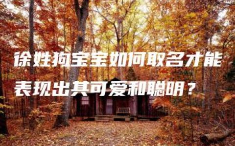 徐姓狗宝宝如何取名才能表现出其可爱和聪明？