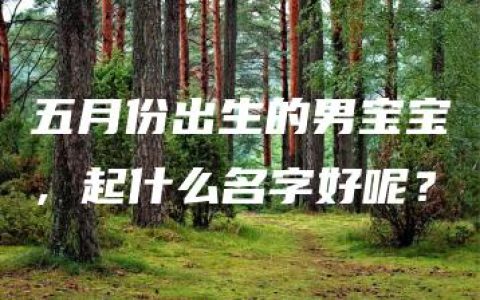 五月份出生的男宝宝，起什么名字好呢？