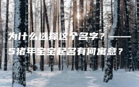 为什么选择这个名字？——5猪年宝宝起名有何寓意？