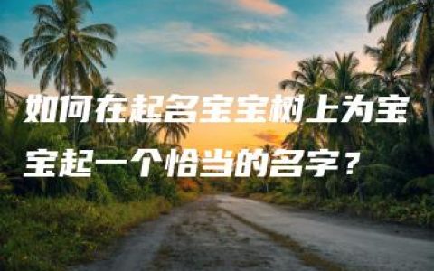 如何在起名宝宝树上为宝宝起一个恰当的名字？