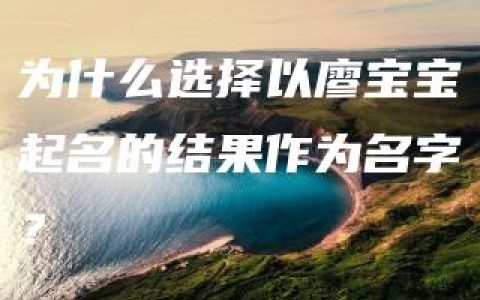 为什么选择以廖宝宝起名的结果作为名字？