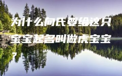 为什么向氏要给这只宝宝起名叫做虎宝宝？