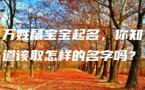 万姓鼠宝宝起名，你知道该取怎样的名字吗？