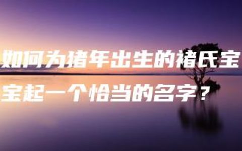 如何为猪年出生的褚氏宝宝起一个恰当的名字？